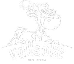 logo-valsole-provvisiorio